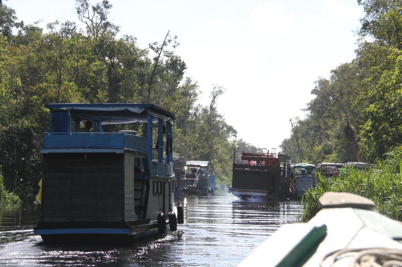 Orangutan Kelotok Houseboat For 6 Person Hotel Pangkalan Bun Exterior photo
